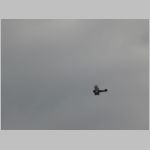 Flugtag _Lehrte_2010_192.jpg